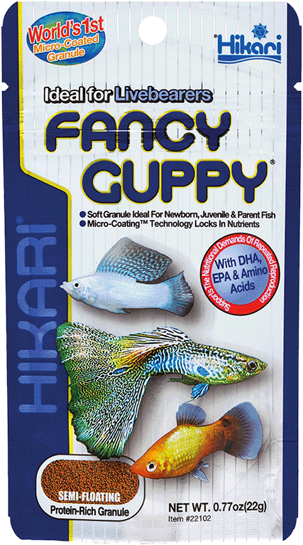 Hikari Fancy Guppy