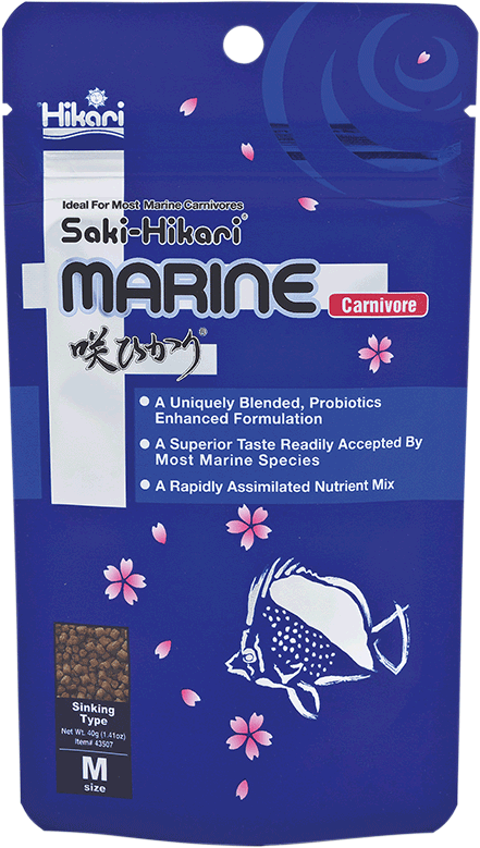 Hikari saki marin  "carnivore"