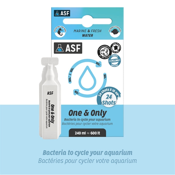ASF ONE & ONLY 24 X 10 ML SHOTS