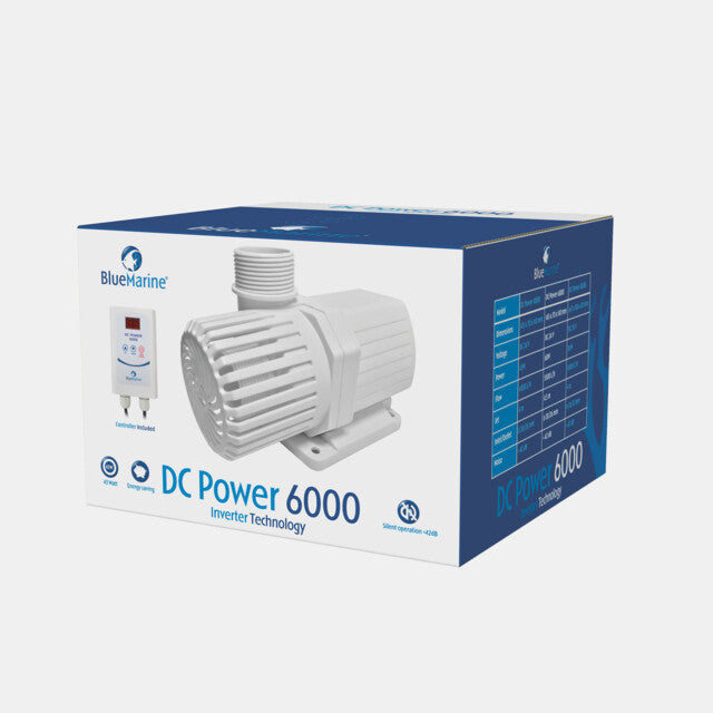 Blue Marine DC POWER