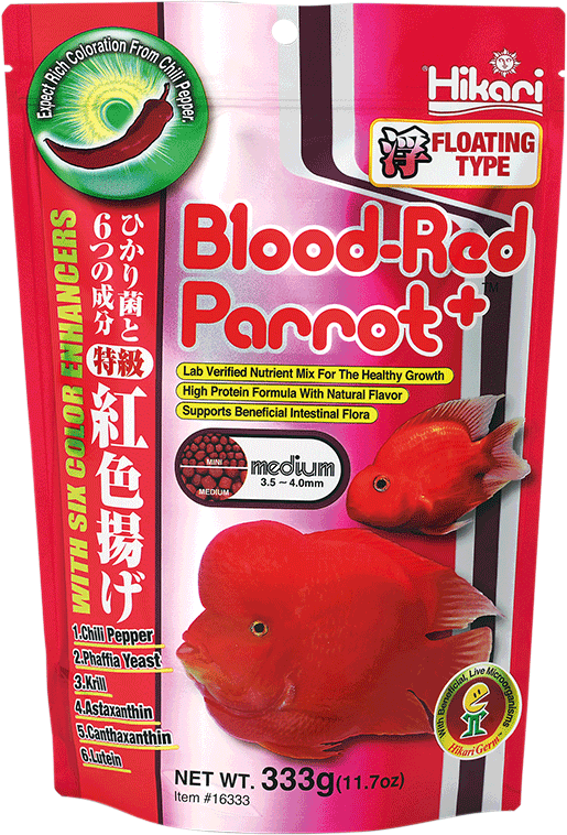 Hikari blood Red Parrot