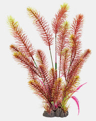 SuperFish Art Plant Myriophyllum Red