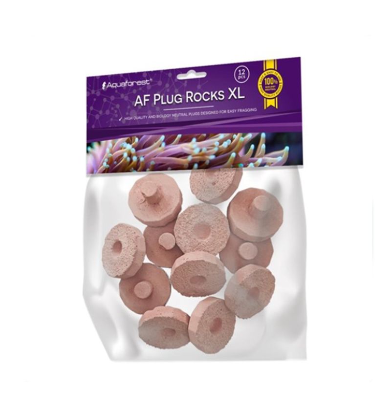 AF Plug Rocks Purple XL - 12pcs