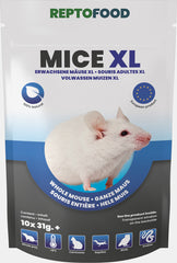REPTO MUIZEN XL 31-40 GRAM 10X
