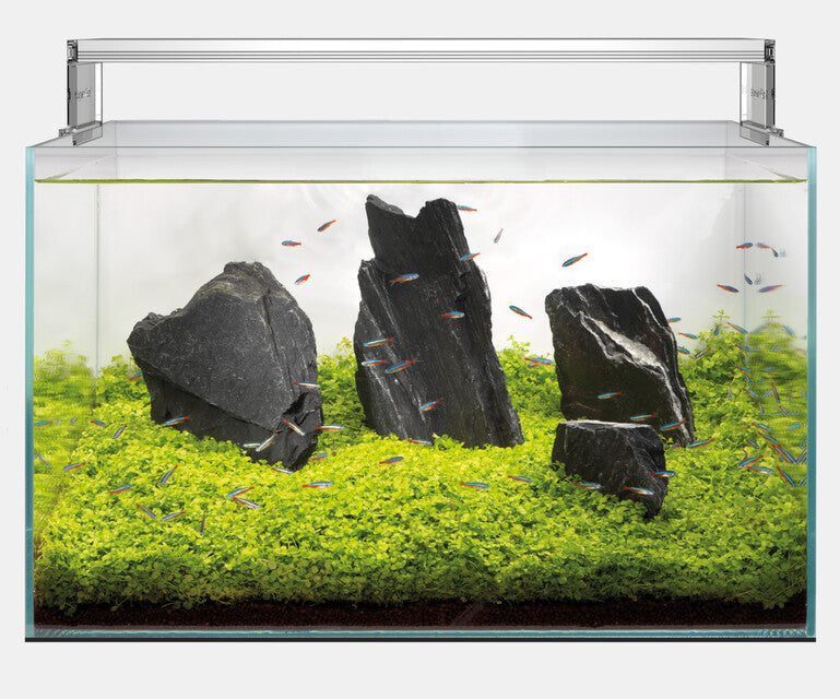 SUPERFISH SCAPER 140