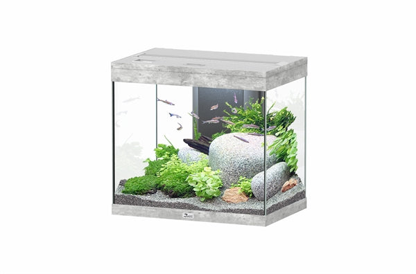 Aquatlantis Aquarium Splendid 60 Ultra Biobox Beton-059