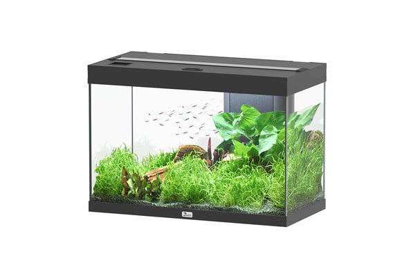 Aquatlantis Aquarium Splendid 80 Ultra Biobox Zwart-001
