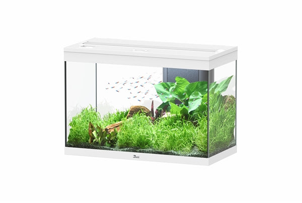Aquatlantis Aquarium Splendid 80 Ultra Biobox Wit-025