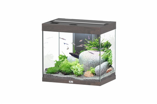 Aquatlantis Aquarium Splendid 60 Ultra Biobox Donkerbruin-09