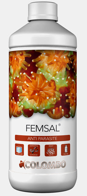 Colombo Marine Femsal