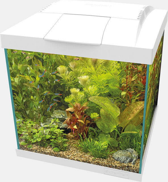 SF Start 30 Qube Kit Wit