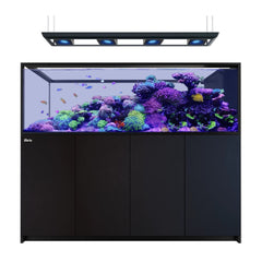 Red Sea REEFER MAX Peninsula S-950 G3 - Zwart
