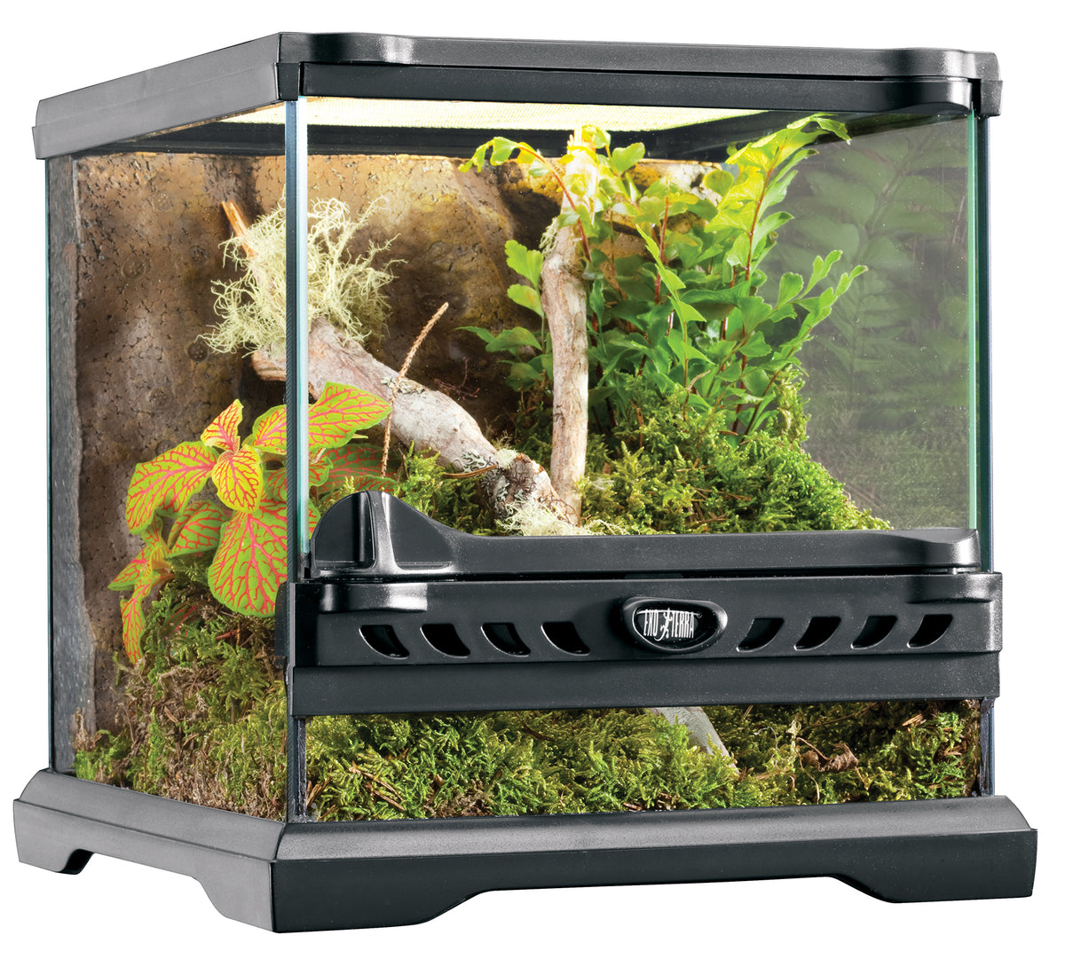 Exo Terra glas terrarium incl achterwand