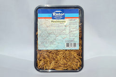 Meelwormen 1 Liter (MEALWORMS 1 LITER)