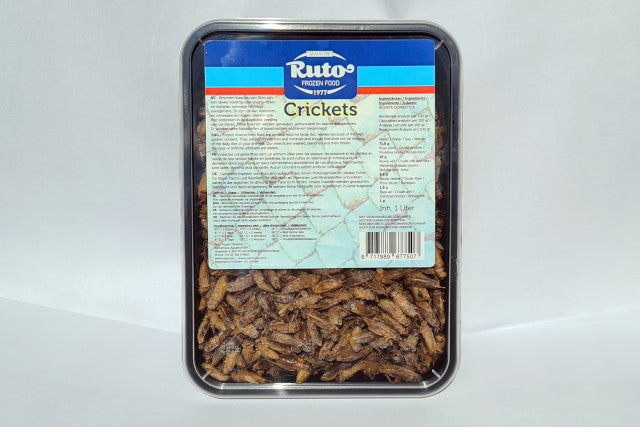 Krekels 1 Liter (CRICKETS 1 LITER)