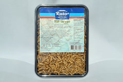 Bsf Larvae 1 Liter (BSF LARVAE 1 LITER)