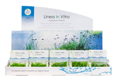 Ecoscape Luxe Acryl Display Voor 15 In Vitro Cups - Ar (EcoScape Luxe Acryl Display voor 15 In Vitro Cups - AR)