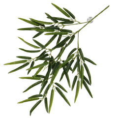 Terra Della Hangende plant Bamboe Groen