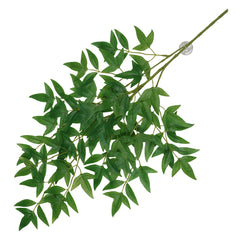 Terra Della Hangende plant Nandina