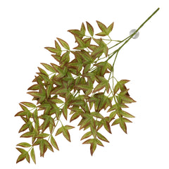 Terra Della Hangende plant Nandina