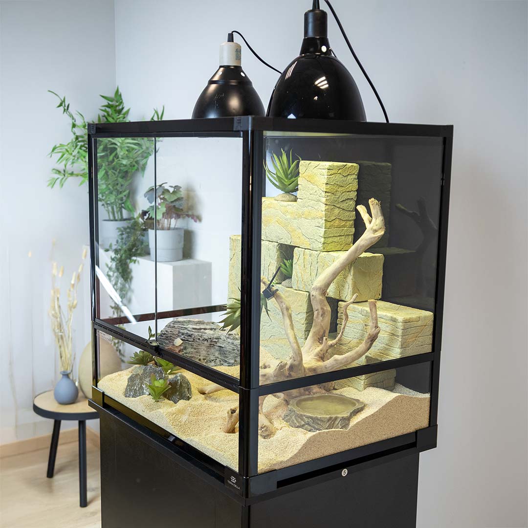 Terra Della Terrarium Knockdown