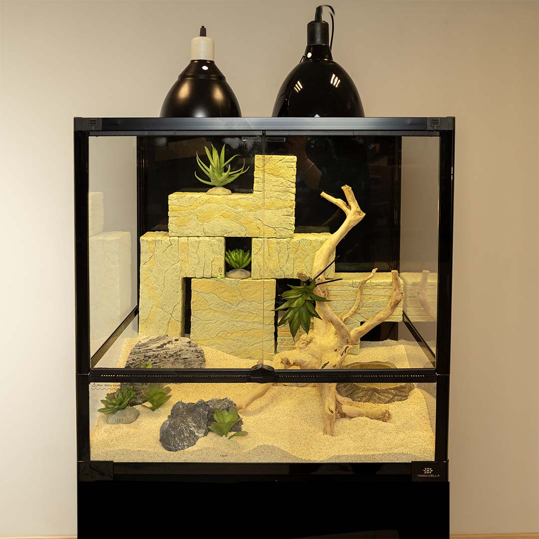 Terra Della Terrarium Knockdown
