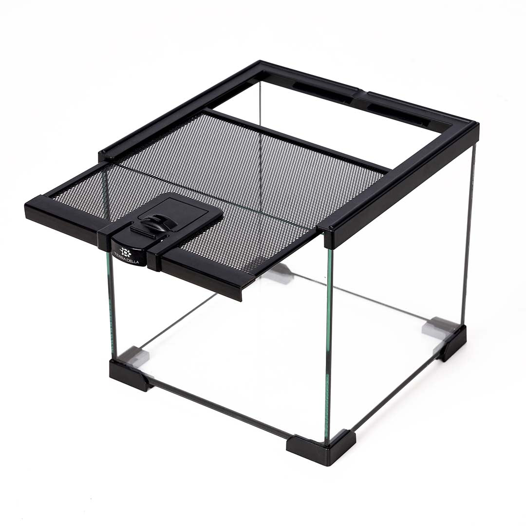 Terra Della Terrarium Glas