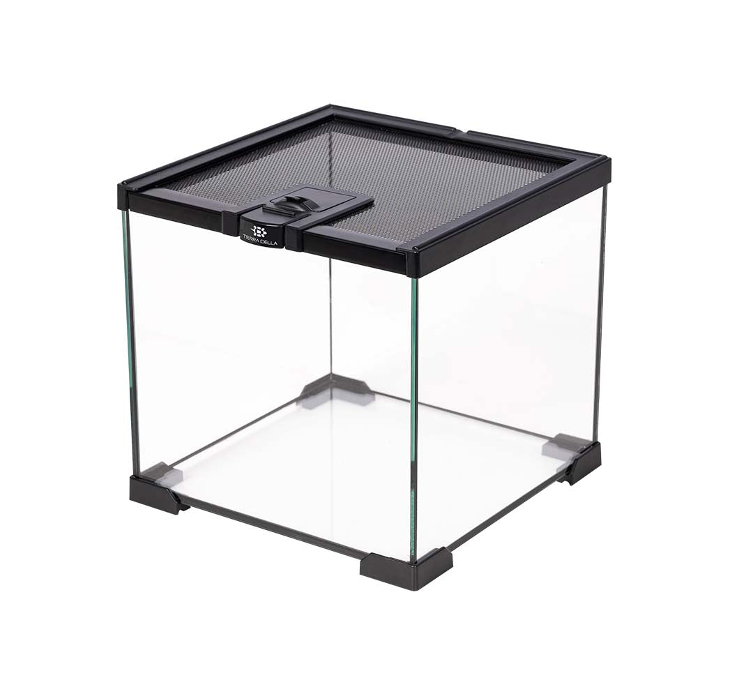 Terra Della Terrarium Glas