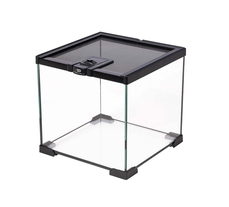 Terra Della Terrarium Glas