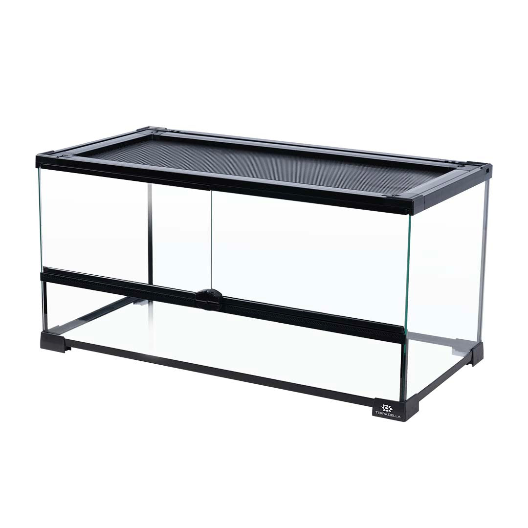 Terra Della Terrarium Glas