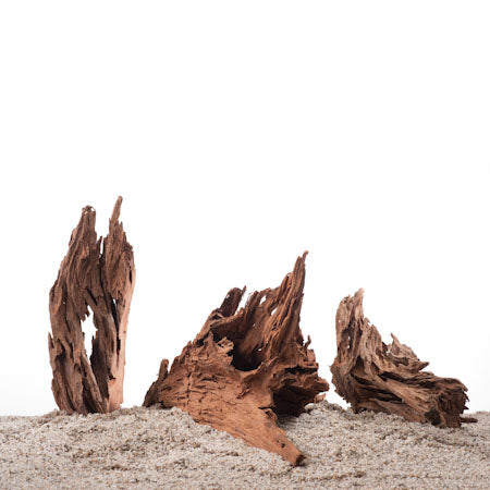Driftwood (Small) Met Plant - Mix (Driftwood (small) met plant - mix)