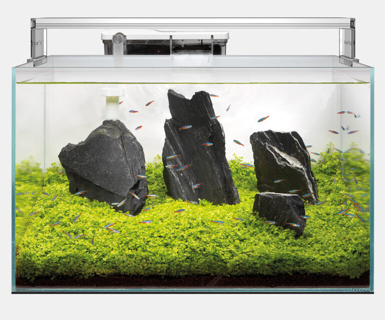 SUPERFISH SCAPER 70