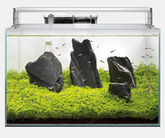 SUPERFISH SCAPER 70