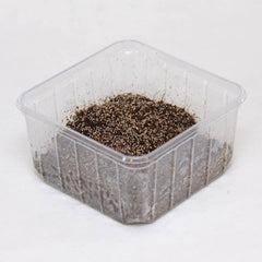 Springstaartjes (COLLEMBOLA (BOX 500 ML))