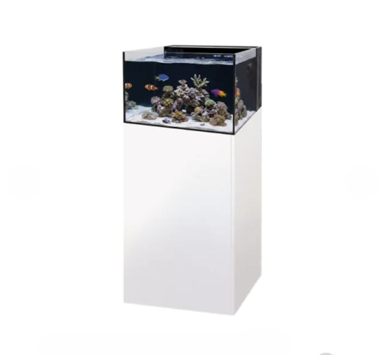Yasha 100 Lagoon