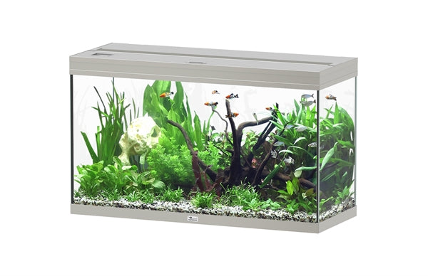Aquatlantis Aquarium Splendid 100 Ultra BIOBOX Aluminium