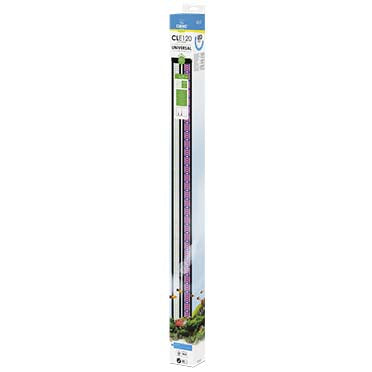 CLE 120 Ciano led colour
