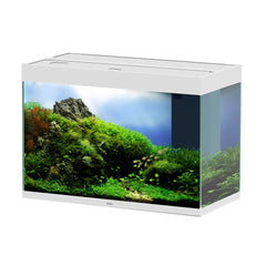 Aquarium emotions nature pro new Wit