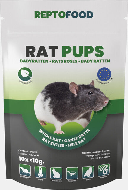 REPTO RATTEN PUPS 5-10 GRAM 10X