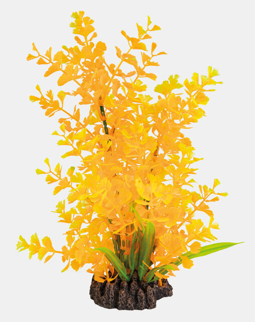 SuperFish Art Plant Ludwigia Orange
