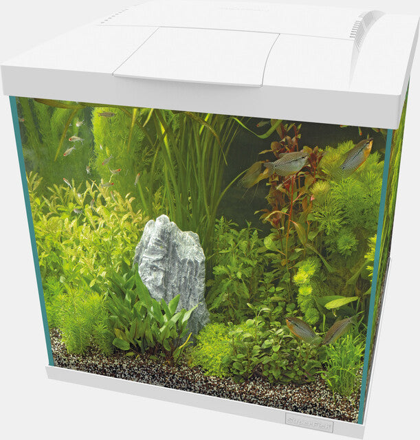 SF Start 60 Qube Kit Wit
