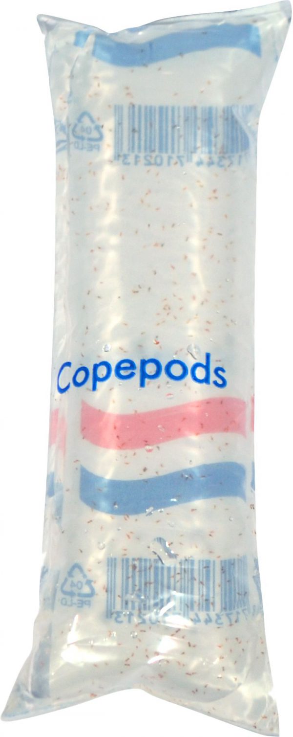 Copepods 100Ml - Lv (Copepods 100ml - LV)