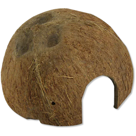 JBL Cocos Cava