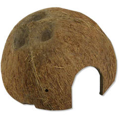 JBL Cocos Cava