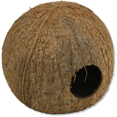 JBL Cocos Cava