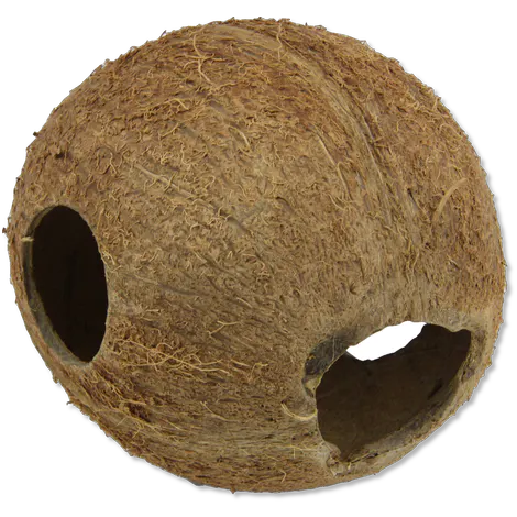 JBL Cocos Cava