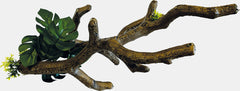 REPTO BRANCH S