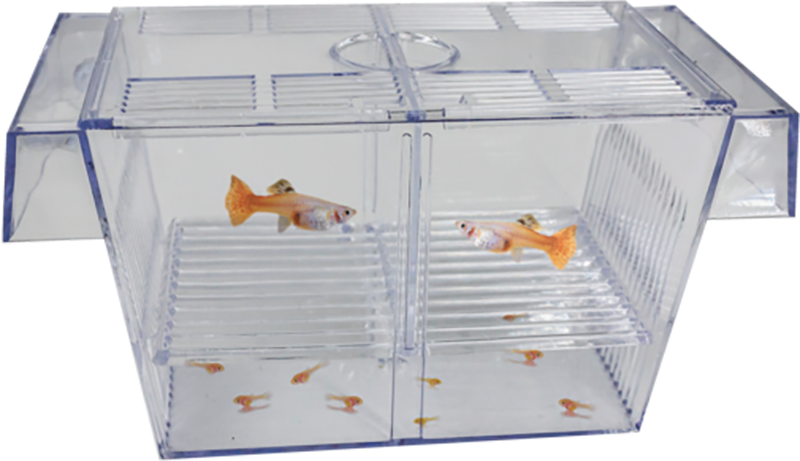 Superfish Floating breeding box