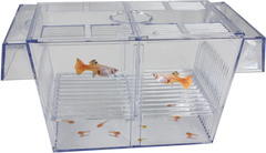 Superfish Floating breeding box