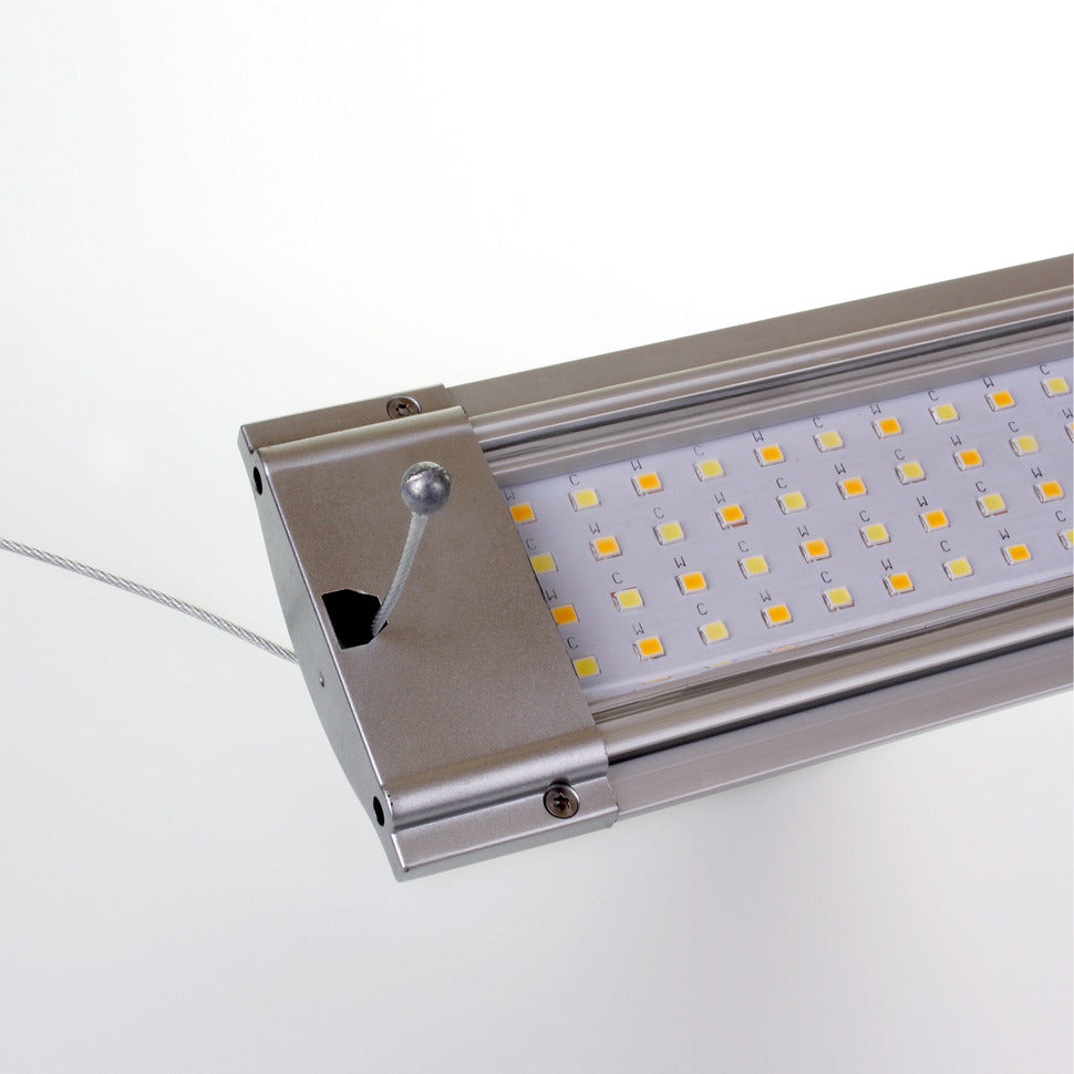 JBL LED Solar Hanging